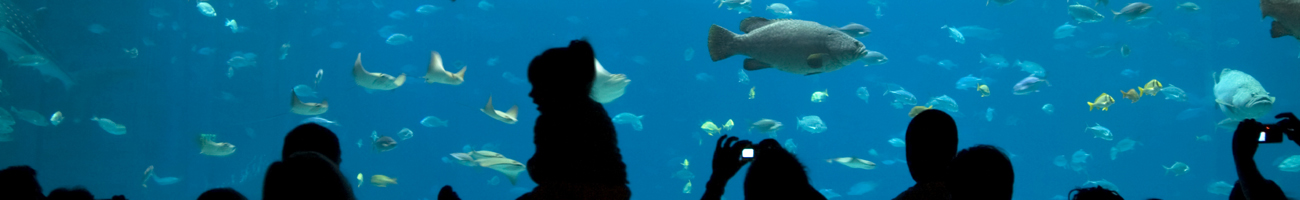 Gethsemane Memorial Gardens - Attractions Headers Aquarium 1 125